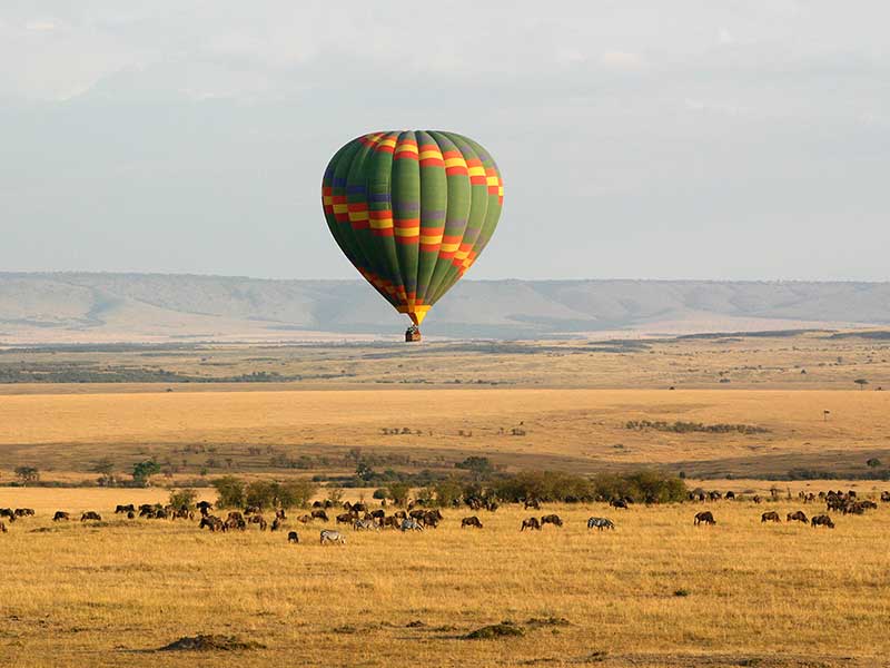 Luftballong över savannerna i Sydafrika