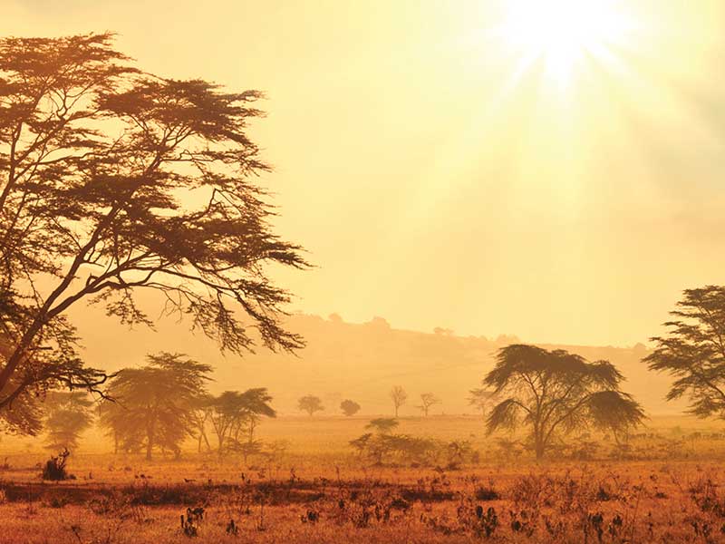 Savannen i Sydafrika kan vara väldigt varm